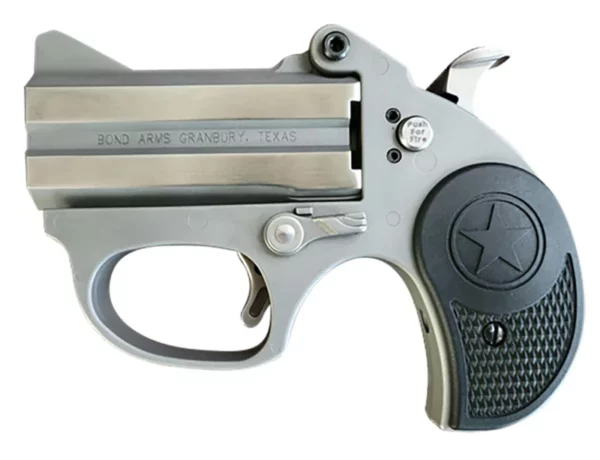 Bond Arms BASRS Stinger  380 ACP 2rd 2.5" Matte Stainless Barrel, Anodized Frame, Blade Front/Fixed Rear Sights, Black Rubber Grip, Manual Safety