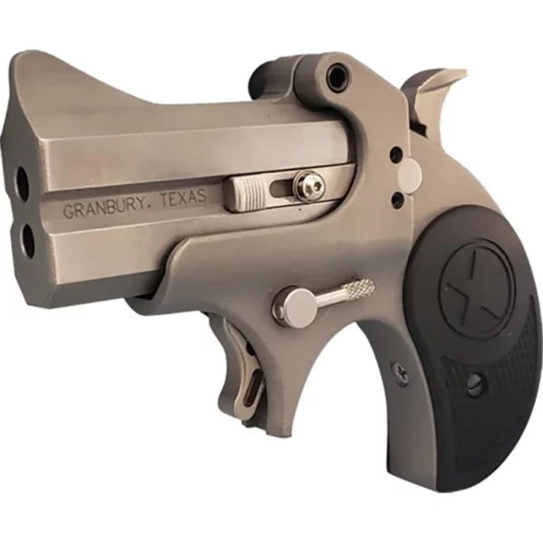Bond Arms Rawhide Handgun 22LR 2/rd Capacity 2.5" Barrel Silver with Black Nylon Grip